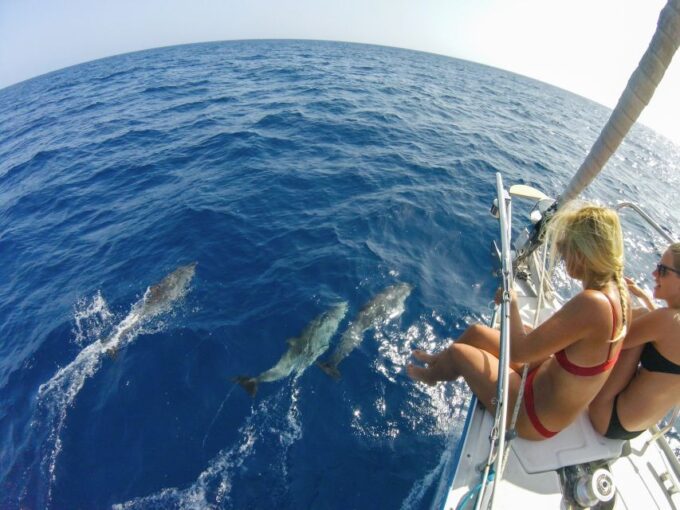 Fuerteventura: Sailing With Snorkeling and Dolphin Watching - Booking and Cancellation Policy