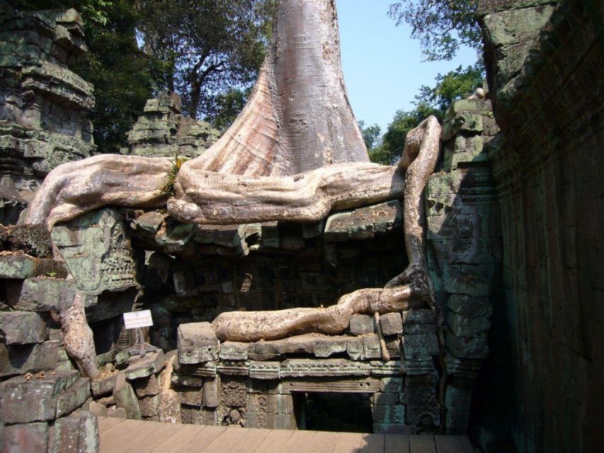 Full Day Angkor Temple Complex Plus Banteay Srei Tour - Transportation Information