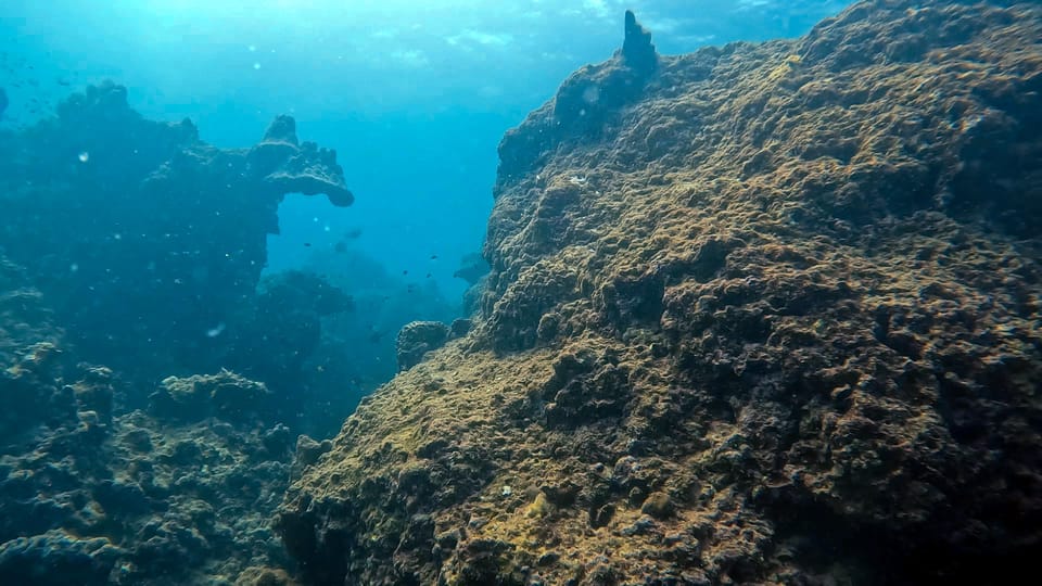 Fullday 2 Dives at Our House Reef in the Heart of Phuket - About the Beach Club