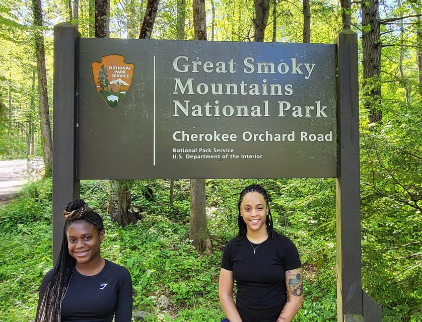 Gatlinburg: Great Smoky Mts National Park Waterfall Tour - Panoramic Vistas and Mountain Lakes