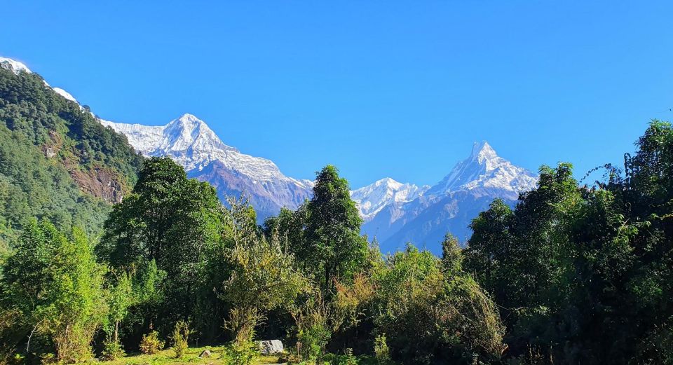 Ghorepani Poonhill Trek - Local Culture and Communities