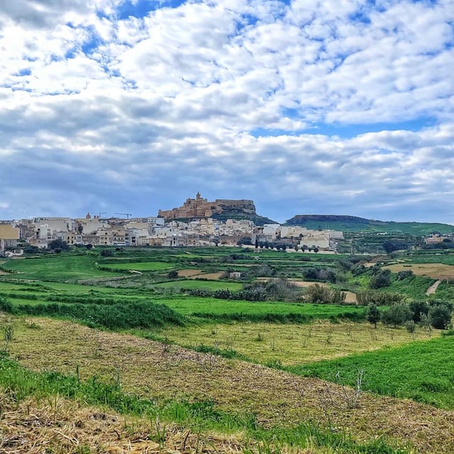 Gozo Wine and Food Tasting - Booking and Cancellation