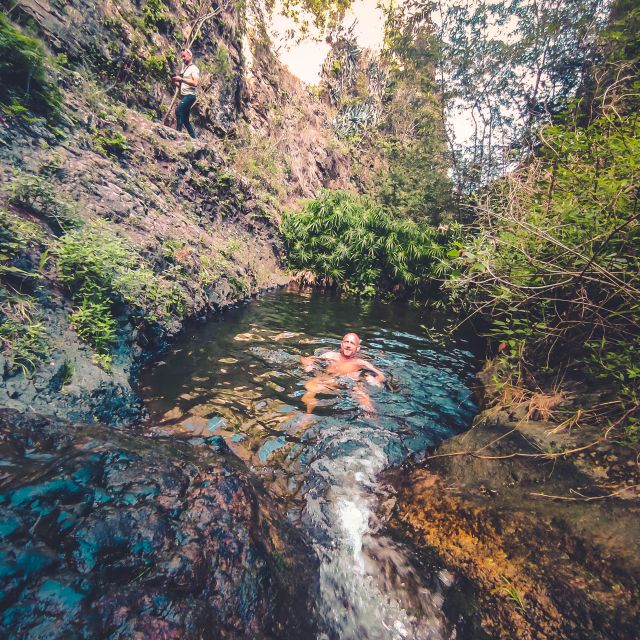 Gran Canaria: Guided Day Tour to Rainforest With Tasting - Customer Reviews and Ratings