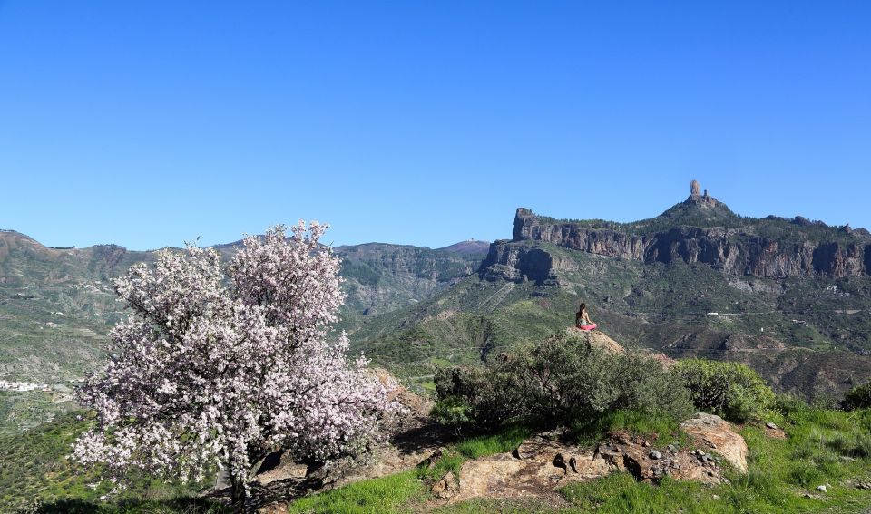 Gran Canaria Highlights Full-Day Tour by Bus - Booking and Availability