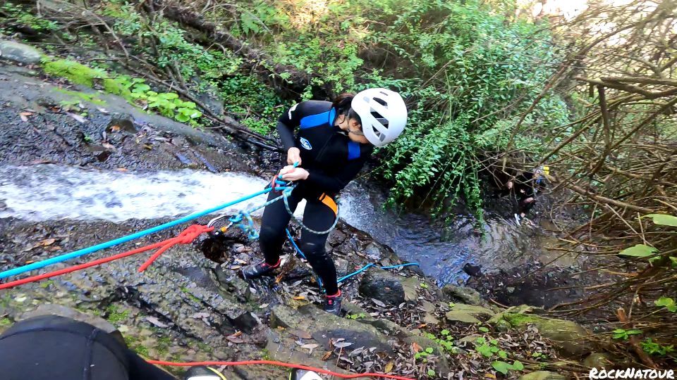 Gran Canaria: Rainforest Canyoning Tour With Gear and Snack - Exploring Gran Canarias Rainforest Canyon