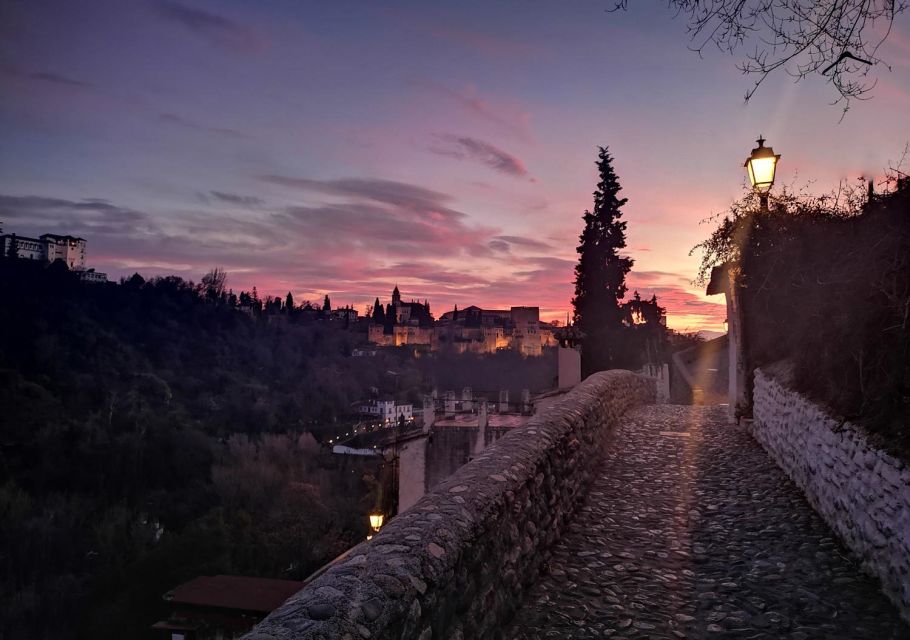 Granada: Exclusive Flamenco Private Tour - Live Flamenco Performances