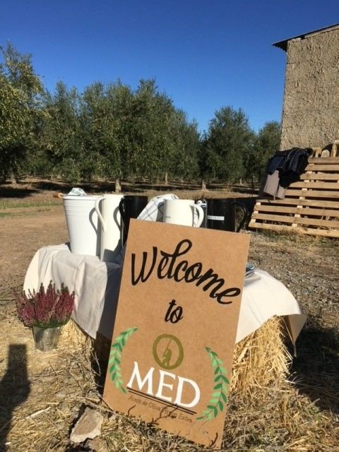 Granada in Evoo: Picnic Among Olive Trees and Unique Views - Getting There