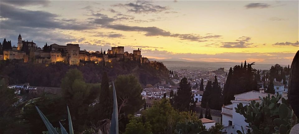 Granada: Private Tour of Albaicín, Sacromonte, and Viewpoints - Customer Feedback