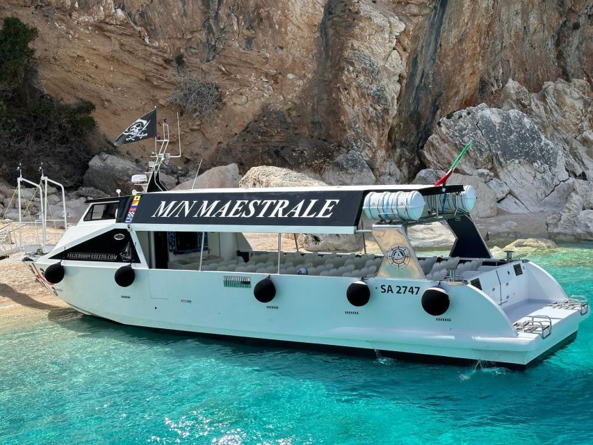 Gulf of Orosei: Grotta Del Bue Marino & Cala Luna Boat Tour - Relaxation and Activities