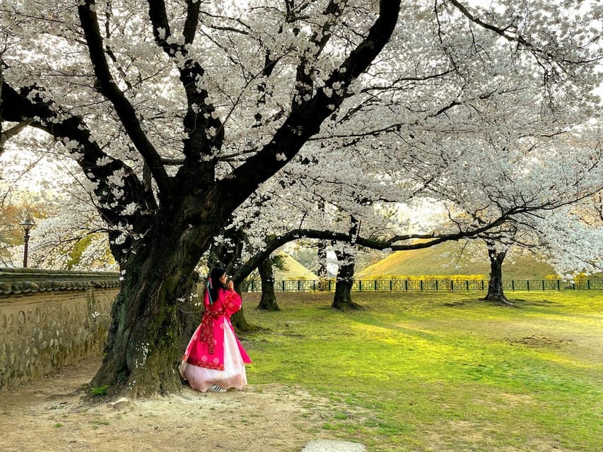 Gyeongju: UNESCO Highlights Tour With Guide and Ticket - Frequently Asked Questions