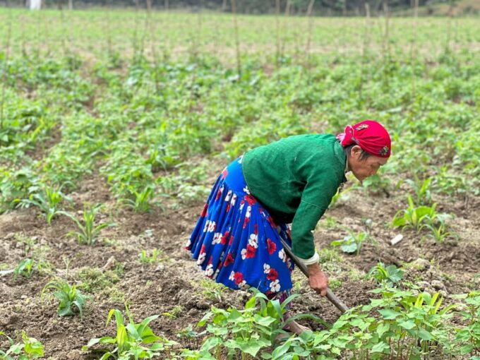 Ha Giang: 3-Day Loop Tour With Hmong Brothers - Important Travel Information