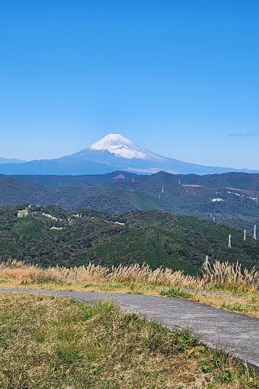 Hakone Private Day Tour With English Speaking Driver - Booking and Cancellation Policy