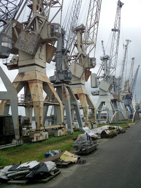 Hamburg: 1-Hour Harbor Cruise - Service and Organization