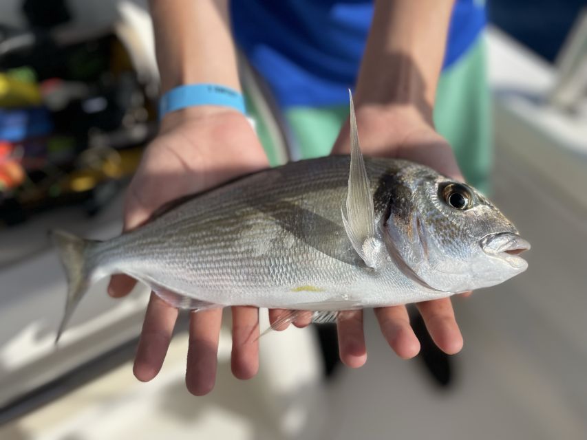 Hands-On Fishing Trip With Swimming at Sea - Meeting Conditions