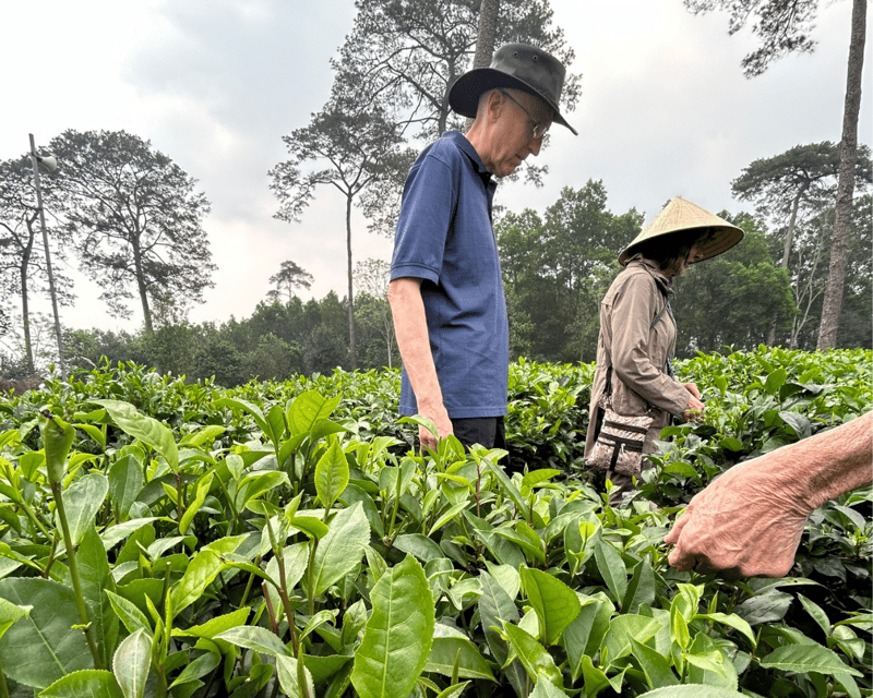 Hanoi Eco Tour: Ba Vi National Park Wonders & Tea Plantation - Frequently Asked Questions