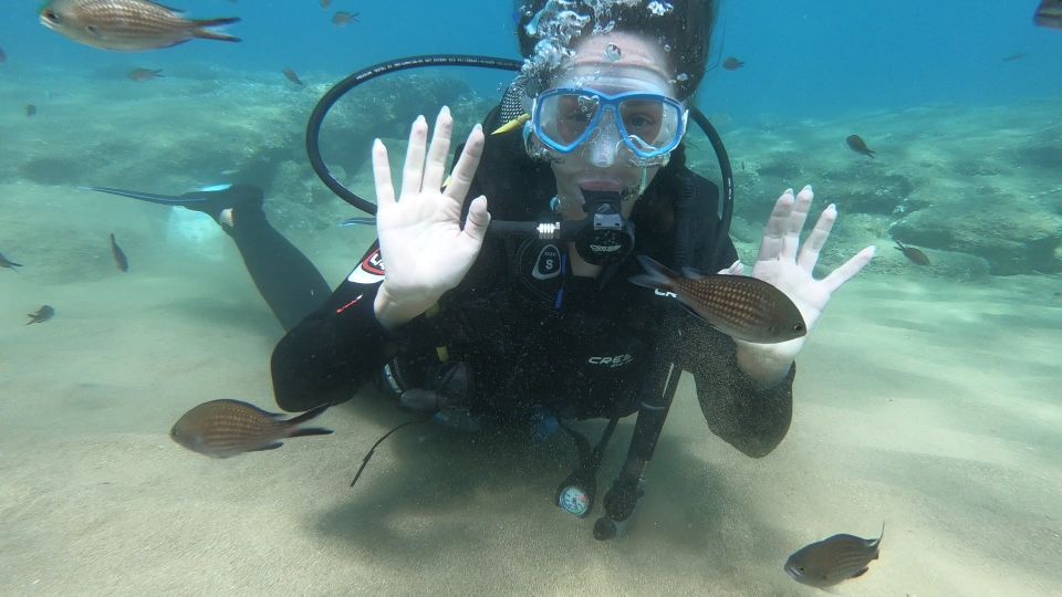 Heraklion: Beginner Scuba Diving Lesson With PADI Instructor - Health and Safety Guidelines