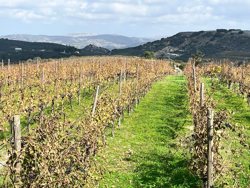 Heraklion: Private Wine Tasting & Lunch at Lyrarakis Winery - Local Attractions Nearby