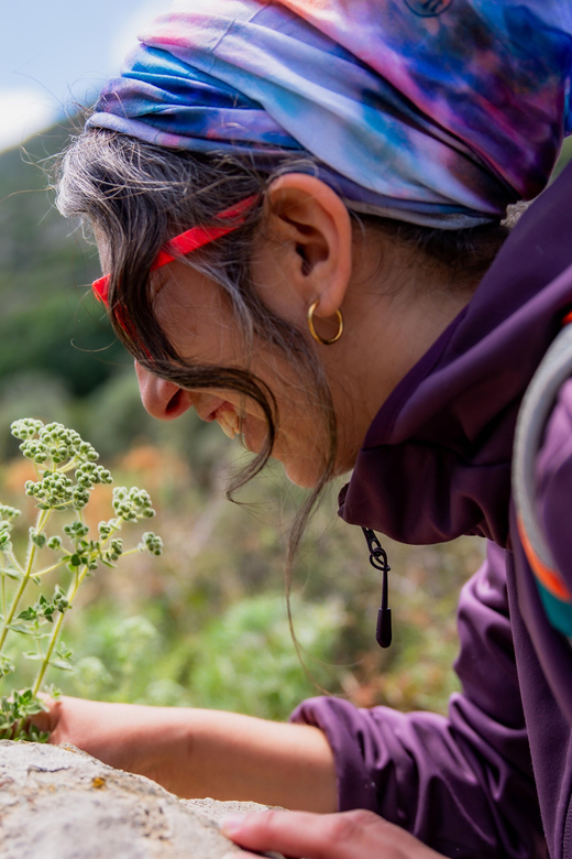 Herbalism and Wildlife (Private Group Experience) - Historical Churches