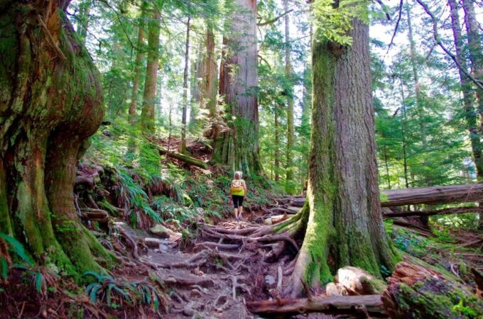 High Impact Nature Hiking at Hethere Lake From Seattle - Tips for an Enjoyable Trip