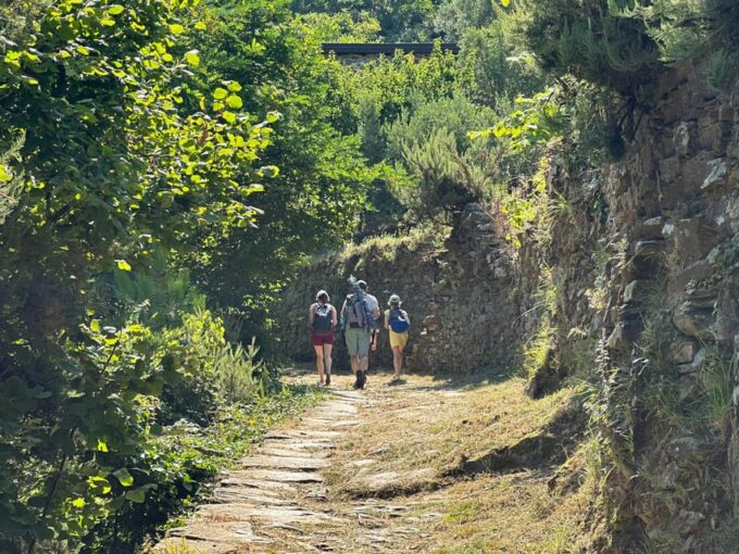 Hiking and Wine Tasting Experience - Exploring the Organic Farm