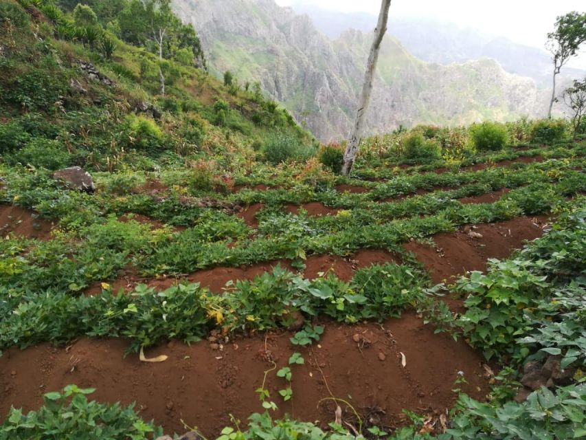 Hiking: From Serra Malagueta to Rabelados Community - Exploring Rabelados Traditions