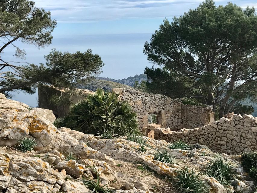 Hiking on Alcúdia Peninsula - Frequently Asked Questions