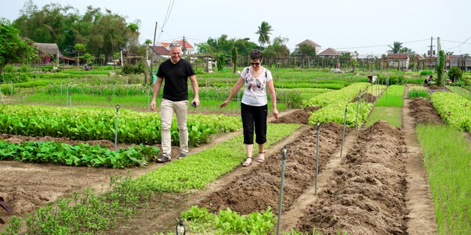 Hoi An : Basket Boat & Farming and Cooking Class in Tra Que - Booking Information