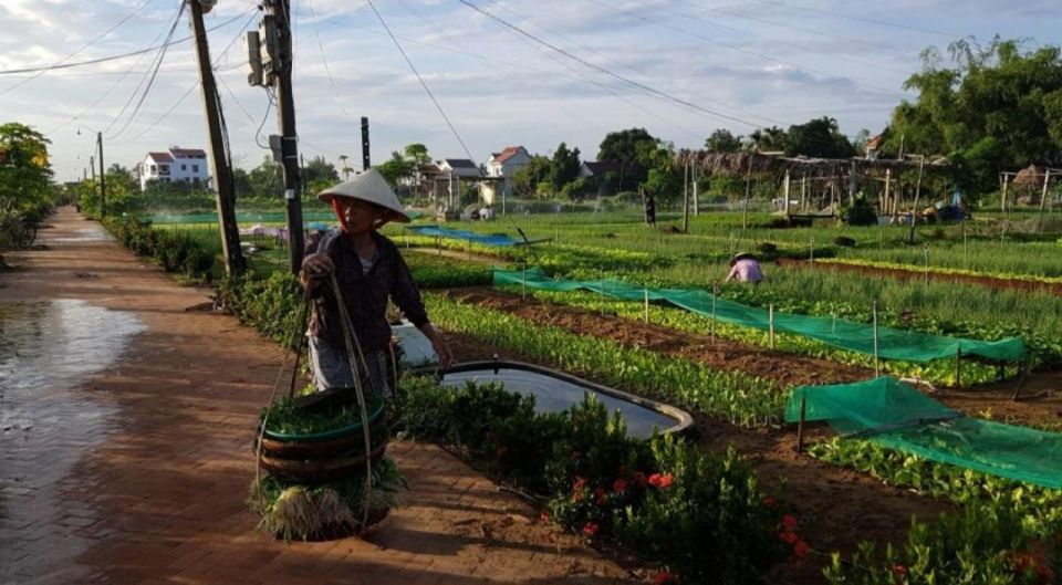 Hoi An Countryside Bike Tour and Traditional Villages - Why Choose a Bike Tour