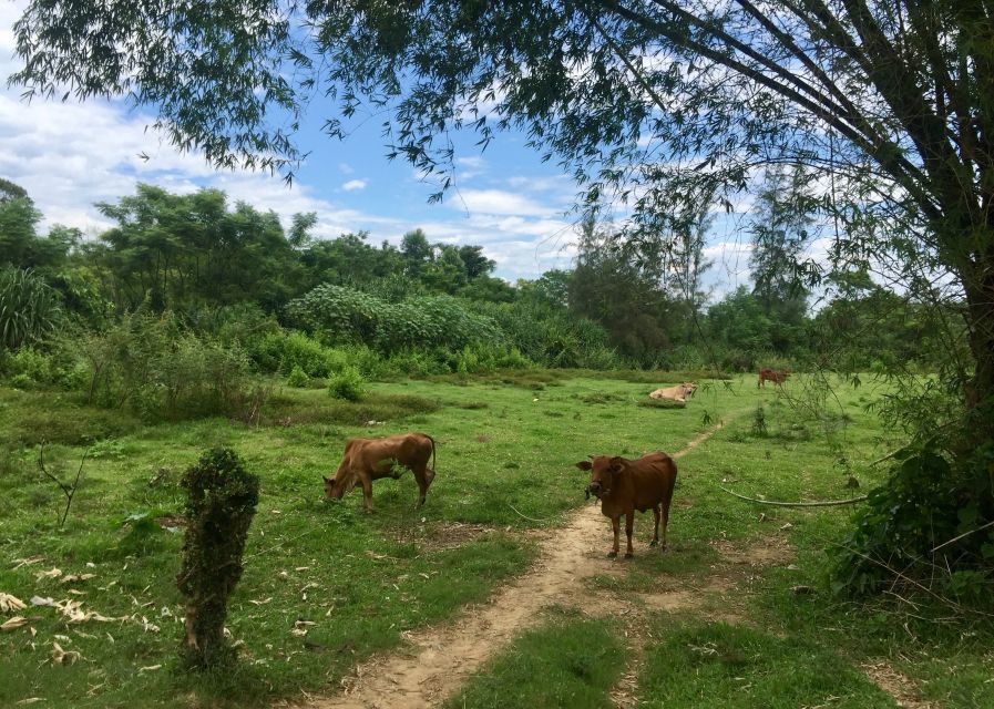 Hoi an Countryside Bike Tour to Kim Bong Village - Frequently Asked Questions