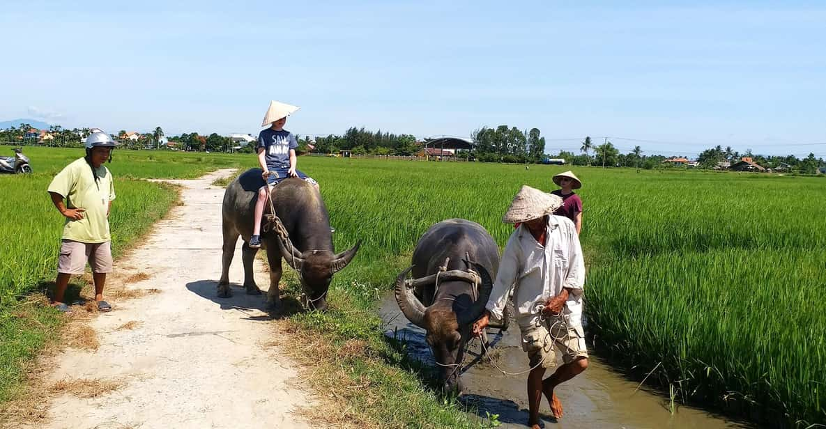 Hoi An Countryside Cycling Adventure - Private Exploration - Frequently Asked Questions