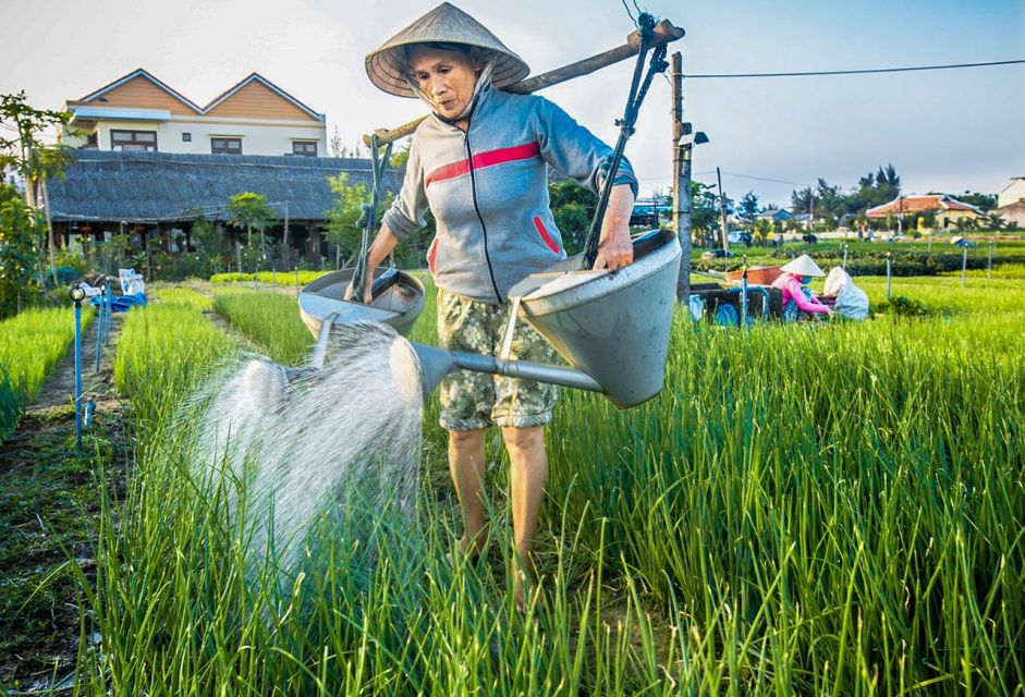 Hoi An Foodie Tour: Half-Day Local Foods Experience - Booking and Cancellation Policy