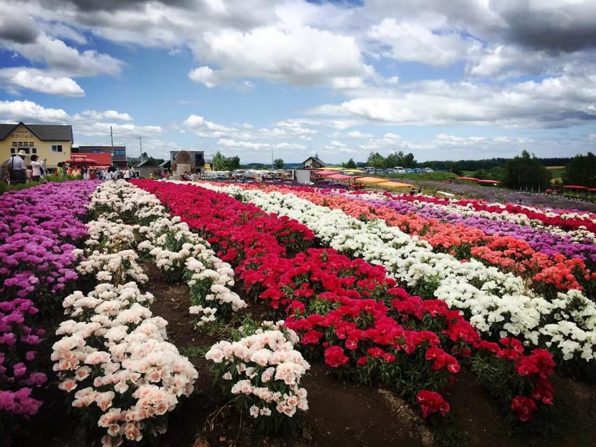 Hokkaido: Flower Sea, Pastoral, and Natural Scenery Day Tour - Frequently Asked Questions