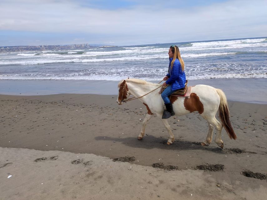 Horse Riding & Barbecue, Ritoque Sand Dunes & Beach F. Valpo - Frequently Asked Questions