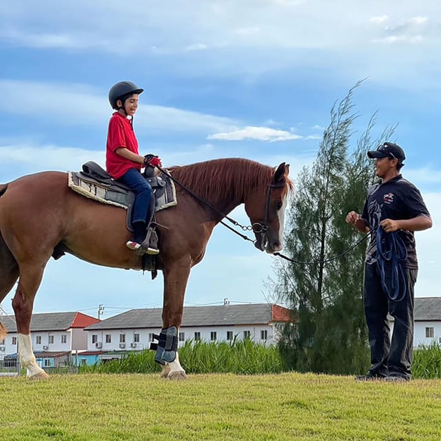 Horse Trail Riding Experience in Bangkok - Amenities and Relaxation