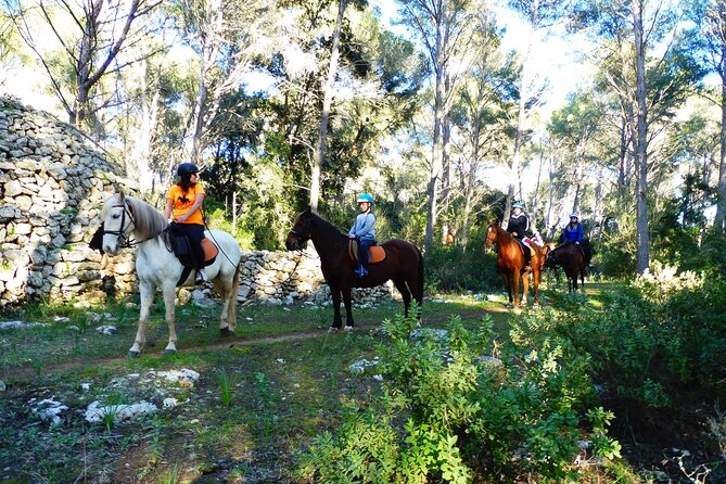 Horseback Riding in Cala Mitjana, Menorca, Spain - Booking and Cancellation Policy