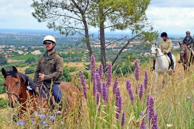 Horseback Riding In Lisbon - Arrábida - Louro Trail Mountain 5 - 6 Hours - Important Considerations