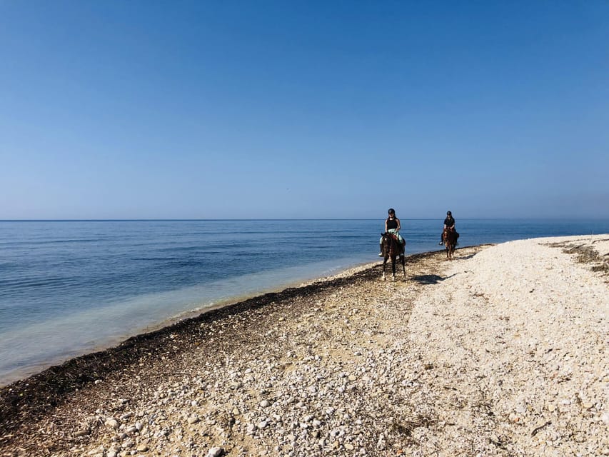 Horseback Riding in the Beaches of Sciacca - Tips for an Enjoyable Experience