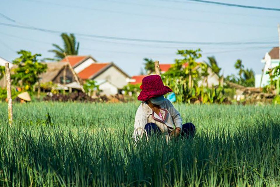 Hue: City Food Tour - Booking and Cancellation Policy