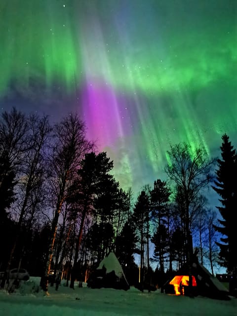 Hunting Aurora With BBQ in Small Group - Booking and Cancellation Policy