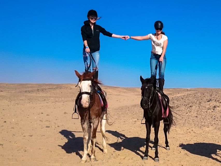 Hurghada: Sunset Sea, Desert Horse W Opt, Dinner, Stargazing - Stargazing in Hurghada