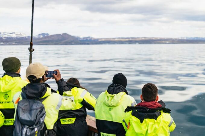 Húsavík: Whale Watching Tour With Guide - How to Book Your Tour