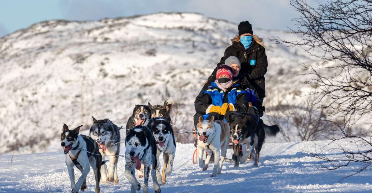 Husky Safari 1 Hour (10 Km) Small-Group Mushing Experience - Frequently Asked Questions