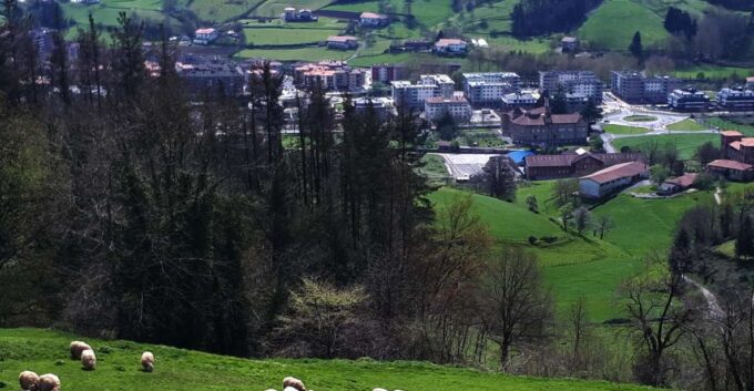 Idiazabal Cheese Tour From San Sebastian - Important Considerations