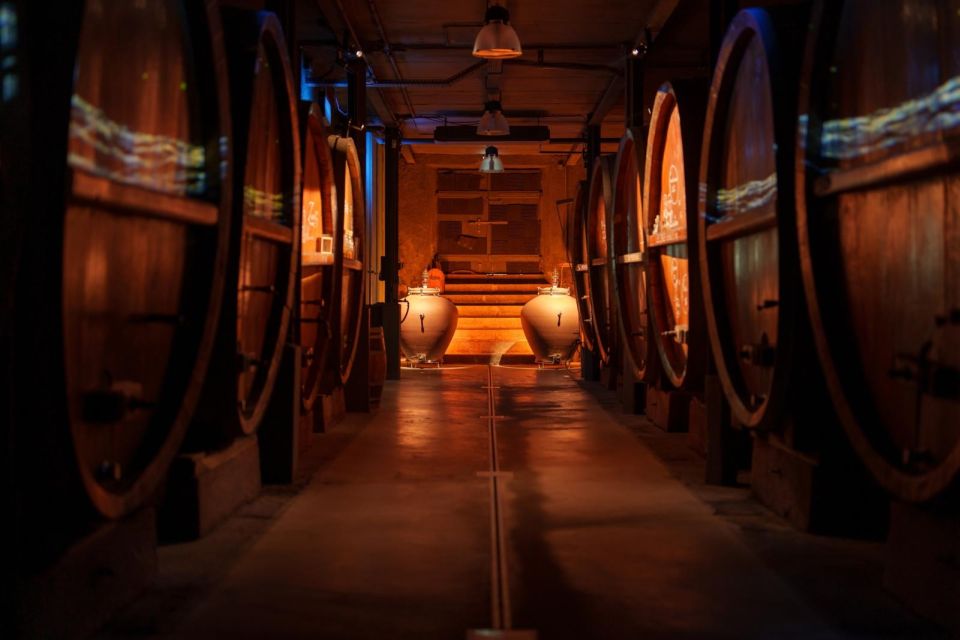 Immersive Cellar Tour, Tasting and Board Meal - Available Languages