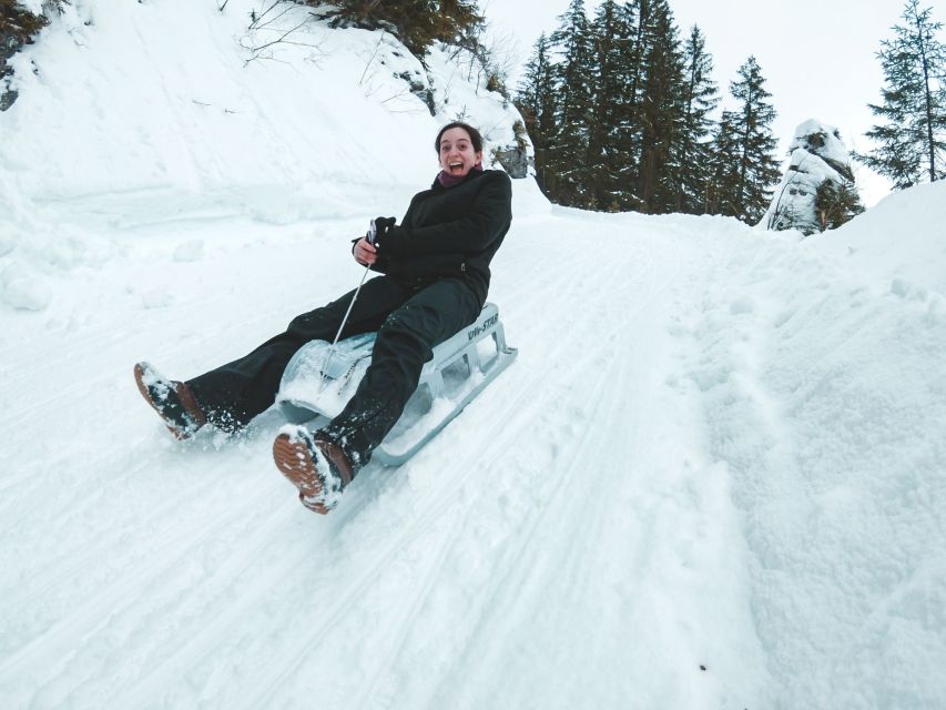 Interlaken: Guided Sledging Adventure - Frequently Asked Questions