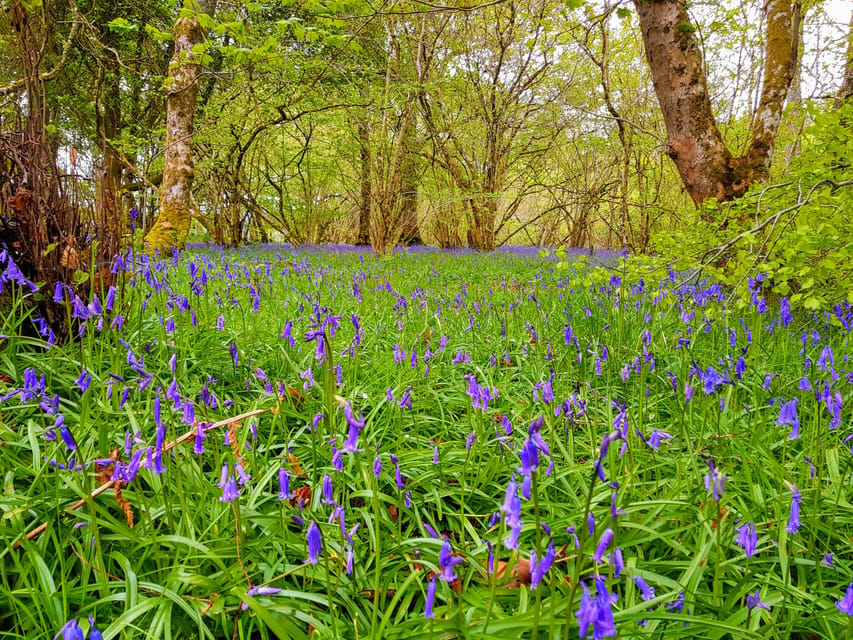 Inverness: Private Secret Hike to the Shores of Loch Ness - Additional Nearby Attractions