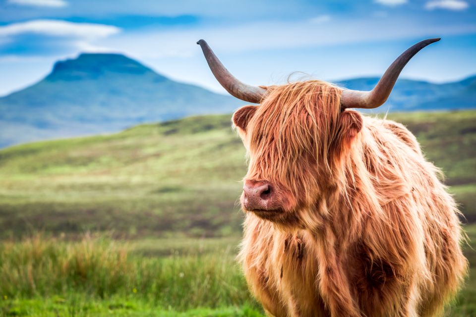 Isle of Skye & the Highlands: 3-Day Guided Tour From Glasgow - Booking Information and Tips