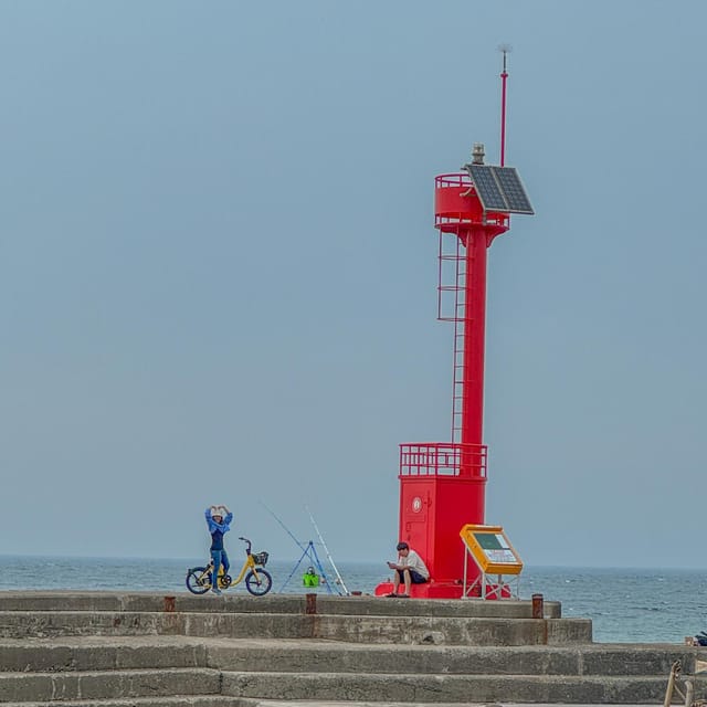 Jeju Island: 1 Day Private Tour - Memorable Photo Opportunities