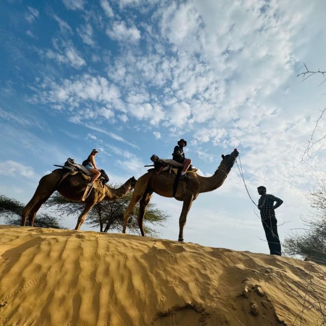 Jodhpur Camel Safari With Traditional Food With Sumer - Tips for Travelers