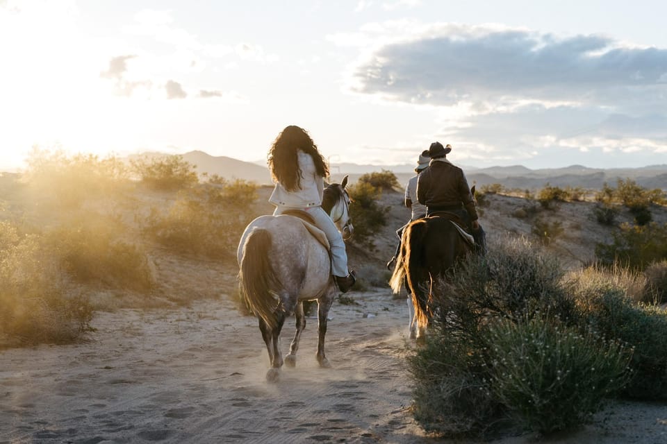 Joshua Tree: Horseback Trail Riding Adventure With a Guide - Tips for First-Time Riders